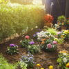Pradinis rinkinys augalų eilėms S Gardena - Image 3